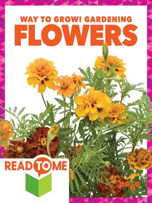 Flowers - ebook